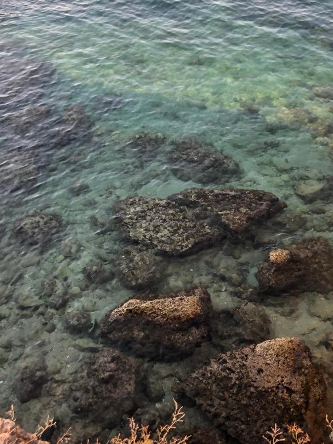 Casa Vacanze Antiche Mura E Poi Monopoli Exteriör bild